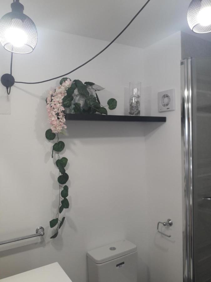 Apartamento Rex Benidorm Eksteriør billede
