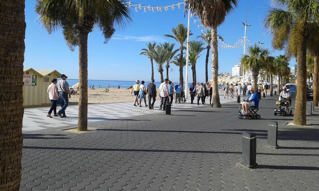 Apartamento Rex Benidorm Eksteriør billede